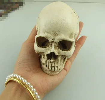 модель человеческого черепа небольшого размера, модель черепа из смолы, художественная копия специального образца, модель скелета